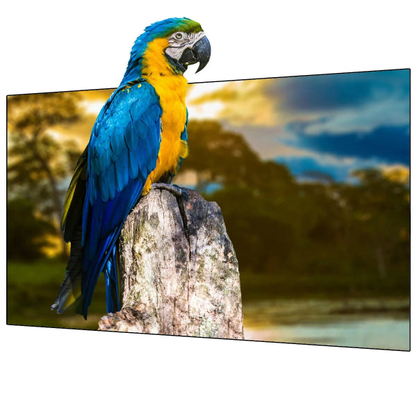 A vibrant blue and yellow macaw perches on a tree stump, vividly captured in 4K UHD against a serene blurred landscape of trees and cloudy sky. The WUPRO Black Crystal ALR Fixed Projector Screen enhances the scene with its ambient light-rejecting technology for crystal-clear viewing.