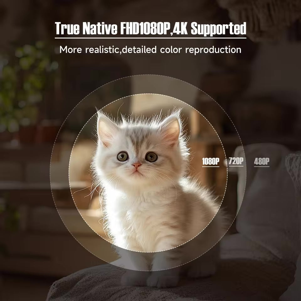 A fluffy gray and white kitten sits on a sunlit surface as overlays compare 480P, 720P, 1080P, and 4K Support. Text reads: The Cloud Projector HD by The Projection Room—True Native FHD1080P, Smart Android 13, Dual-Band Wi-Fi.