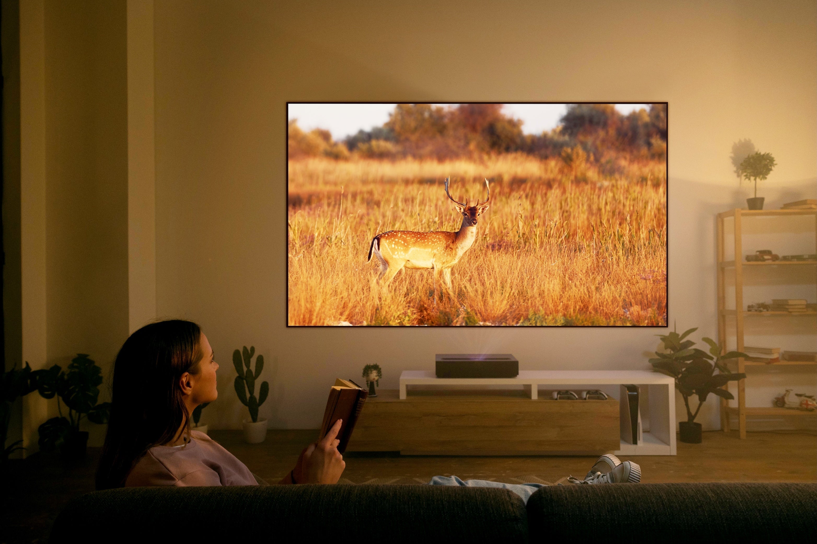 The_Mini_Projector - the_production_room_store